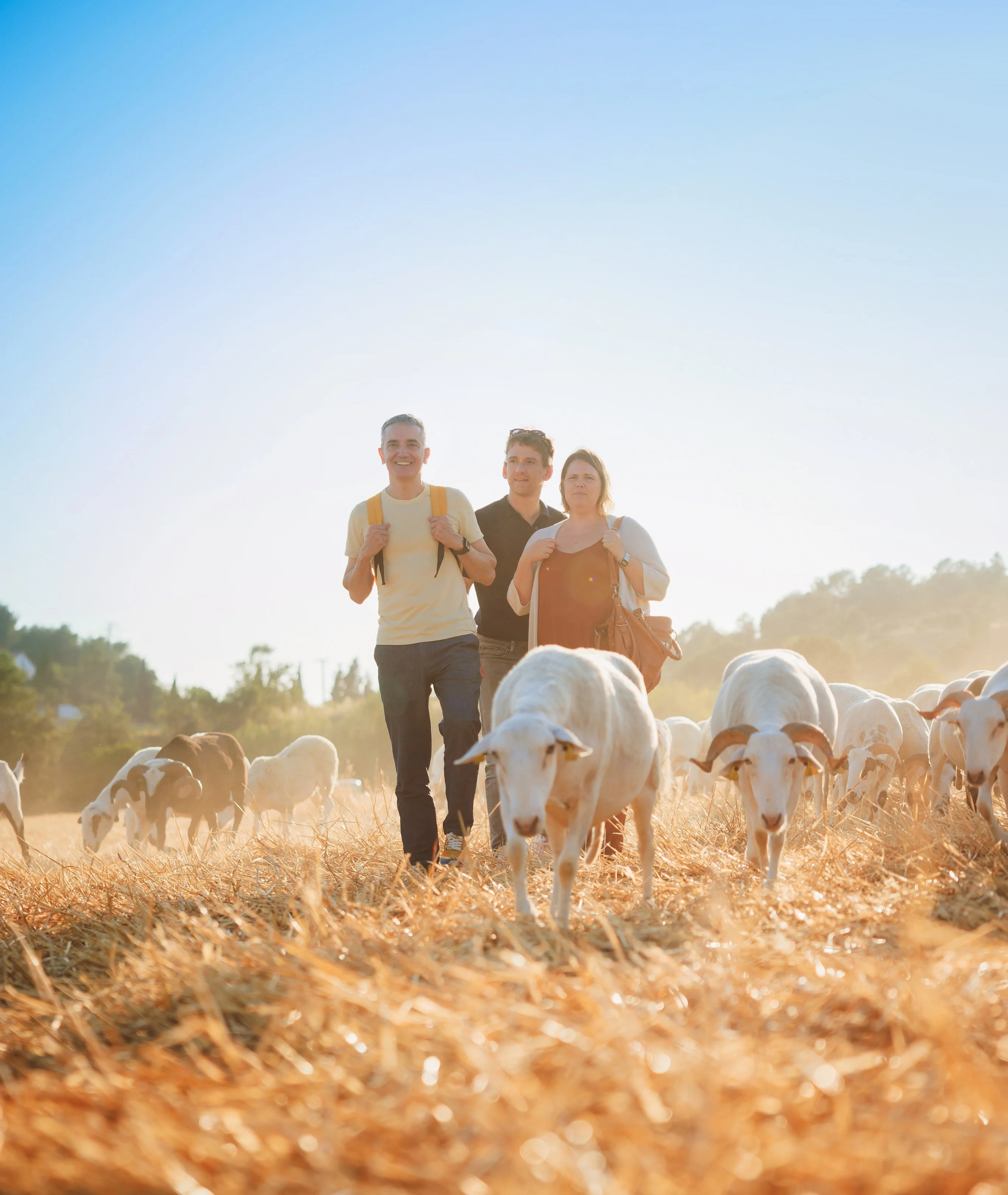 OVELLES 25_26 foto promo principal